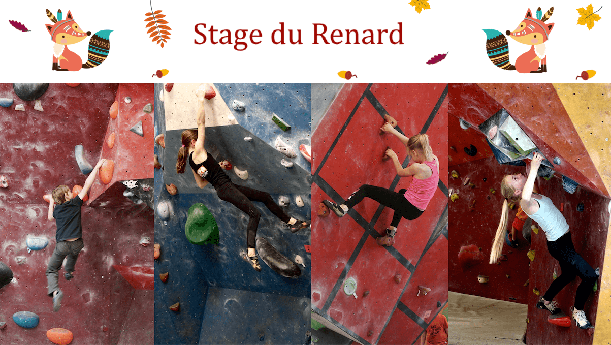 Stage Enfant du Renard